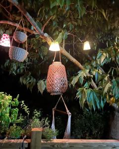 Campings Saint tropez-Gassin Bungalow LUXE 6 personnes : photos des chambres