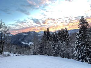 Chalets Chalet Alpage Proche Geneve : photos des chambres