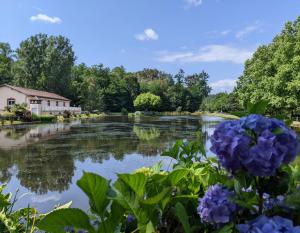 Appart'hotels Hotel Studios Les Acacias : photos des chambres