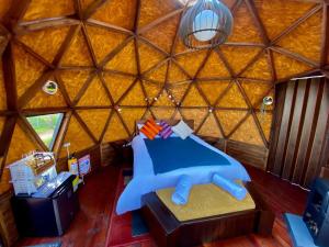 Voces de Aves Glamping