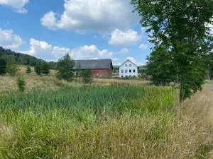 Statek 85 - Mařenice