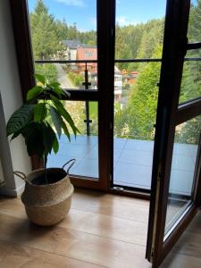 Apartament Chleb i Wino