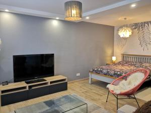 Appartements Superbe cosy T1 Bis Studio 40m2 independant en maison avec parking gratuit : photos des chambres