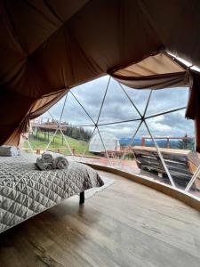 Глемпінг Де Вайб (devibe-vorokhta)