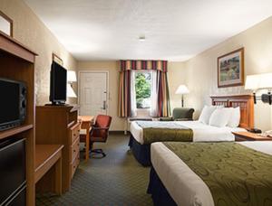 Queen Room with Two Queen Beds - Smoking room in Days Inn & Suites by Wyndham Stuttgart