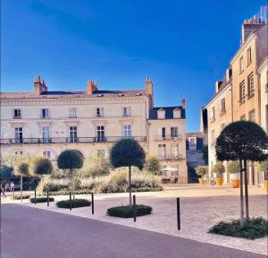 Studio meublé, en plein coeur de Tours