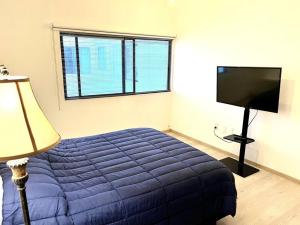 Apartment in the touristic heart of Mexico City