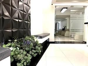 Apartment in the touristic heart of Mexico City