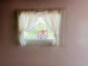 Rifugio tra gli ulivi