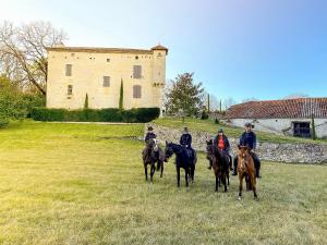 Maisons de vacances Domaine Le Tournier : photos des chambres