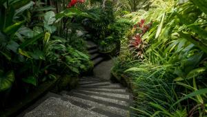 Sakti Garden Resort & Spa