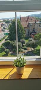 Klimatyczny apartament nr 8 z widokiem na góry Sowie