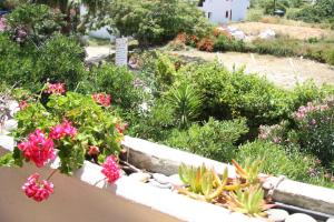 Evon's rooms Ikaria Greece