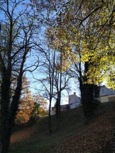 Charmant petit T2 au bord de lAllier