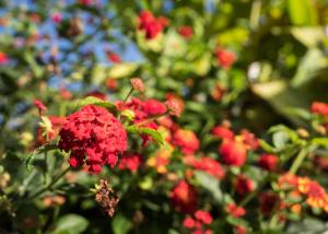 Casa Viña: a spectacular away from itholiday