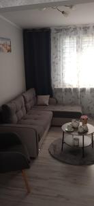 Apartament Klonowa