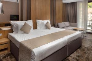 Superior Twin Room with Free Spa Access room in Pirin Park Hotel