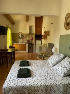 B&B / Chambres d'hotes Les Celestins - Studios independants : Studio avec Vue sur Jardin