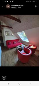 The parrot hotel, live in a rescue animal park