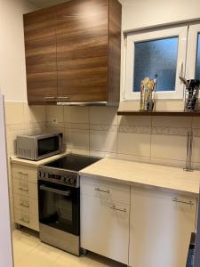 Apartment Vračar