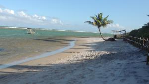 La Fleur Polinésia Muro Alto