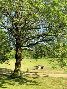 Maisons de vacances Domaine de Tapies 2 gites jusqu a 19 personnes : photos des chambres