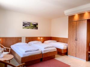 Triple Room room in Hotel Falk