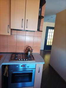 Centrinio parko apartamentai