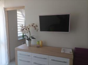 Apartament Zielona Wydma