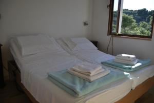 Holiday house with a swimming pool Stomorska, Solta - 15950