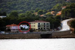 Apartments by the sea Rogac, Solta - 16223 - Rogač