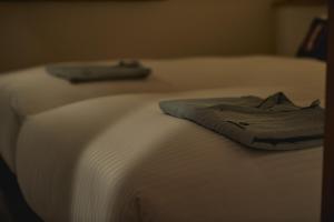 THE HOTELS HAKATA Harushige SHINKAN