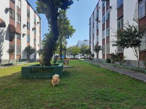 Apto próximo ao Engenhão, Riocentro e Jeunesse Arena