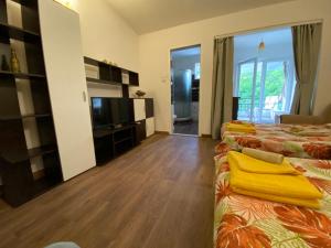 Studios Zoran Milosev