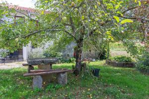 Apartments with a parking space Buzet, Central Istria - Sredisnja Istra - 17333