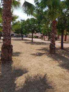 appartement avec terrasse , jardinet et piscine