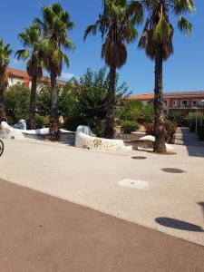 appartement avec terrasse , jardinet et piscine