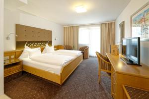 Deluxe Double Room with Shower room in Hotel Edelweiss