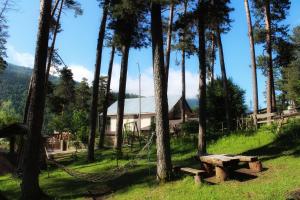 Guest House on Meskheti