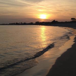 Appartements Calme absolu a 100m de la plage de Toulhars : photos des chambres