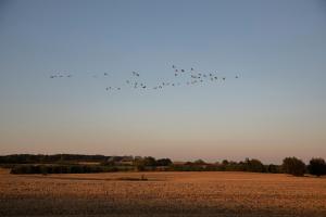 Gutshauszimmer Doppel Neu Gaarz