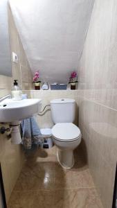 Casa Arte Luz Cazorla