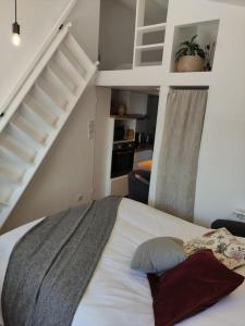 Appartements Studio tout confort a 10mn de Royan et plages : photos des chambres