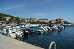 Appartements Bel appartement avec vue sur mer - Les Palmiers : photos des chambres