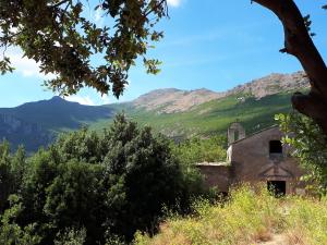 Appartements Bel appartement avec vue sur mer - Les Palmiers : photos des chambres