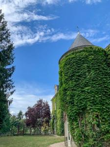 B&B / Chambres d'hotes Chateau de Montaupin : photos des chambres