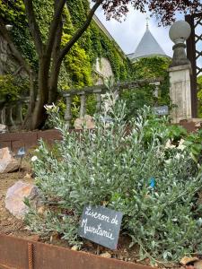 B&B / Chambres d'hotes Chateau de Montaupin : photos des chambres