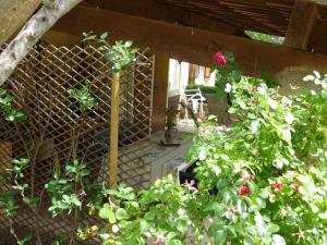 Maisons de vacances Maison de 2 chambres avec piscine partagee jardin clos et wifi a Draguignan : photos des chambres