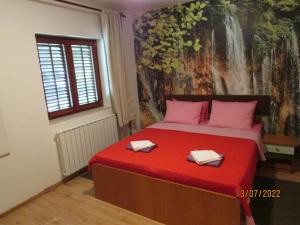 Double Room room in House Nenad