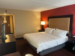 King Room room in Holiday Inn Dover-Downtown an IHG Hotel